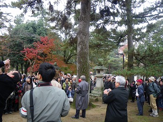 091123奈良東大寺の松もＥＭで元気に比嘉教授説明IMGP1136